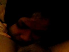 毛茸茸的猫硬骑