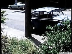 日本青少年...f70