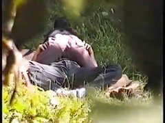 很多毛宝贝玩具她的猫