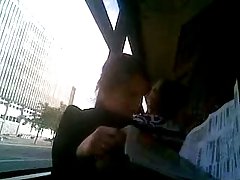 拉毛猫亚洲喜欢它粗糙