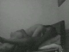 老式的毛环-tigr